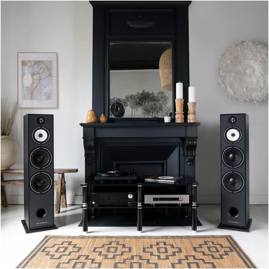 triangle - BOREA BR10 Hi-Fi Floorstanding Speakers - Power handling 200W - Efficiency 92 dB/W/m - 21cm Drivers - Versatile Music and Home Cinema - 245 x 1110 x 380 mm - Black (Piece)