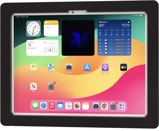 TABcare Anti-Theft Acrylic VESA Enclosure for Apple iPad Pro 13" 2024 with Free Wall Mount Kit & 90-Degree Angle USB C Cable (iPad Pro 13" 2024, Black)