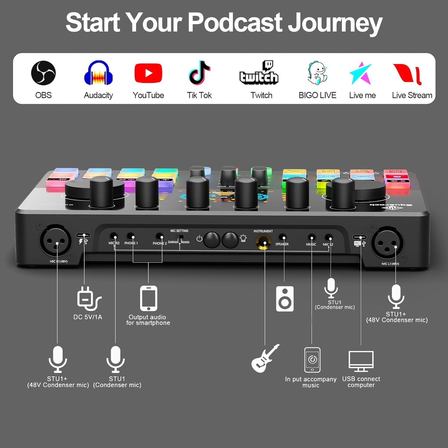 Podcast Equipment Bundle for 2 with Dual XLR-3.5 Condenser Micophones with Mic Pop Filters Audio Equipment for Live Streaming/ Recording, Online Gaming for Phone/ Laptop/ PC Audio Interface M100