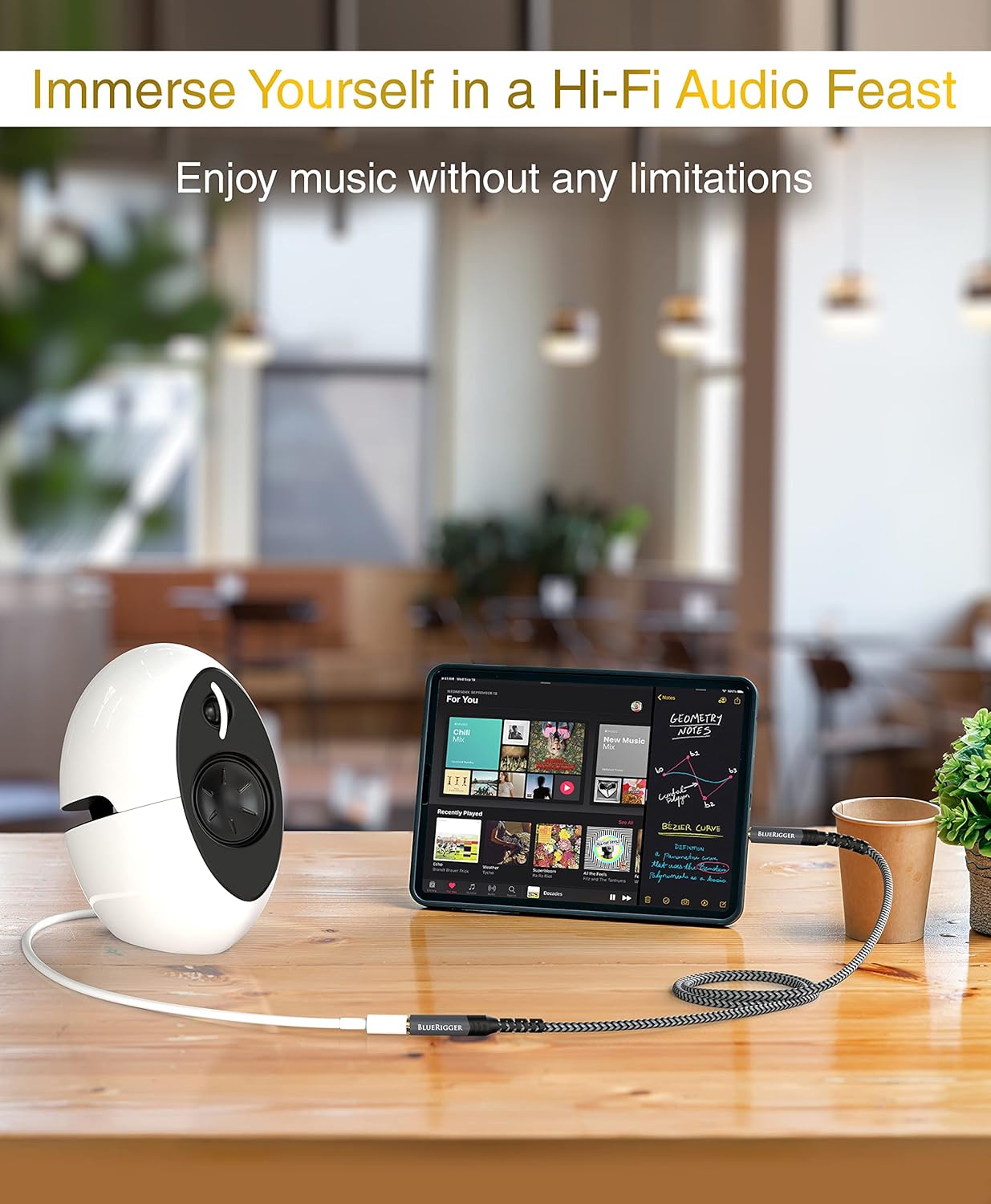 BlueRigger Headphone Extension Cable (30FT, 24K Gold Plated Jack, Hi-Fi Sound, 3.5mm Male to Female Stereo Audio Cable) – Aux Cord for iPod, Laptops, Smartphones, Speakers, Tablets, Home Car Stereo