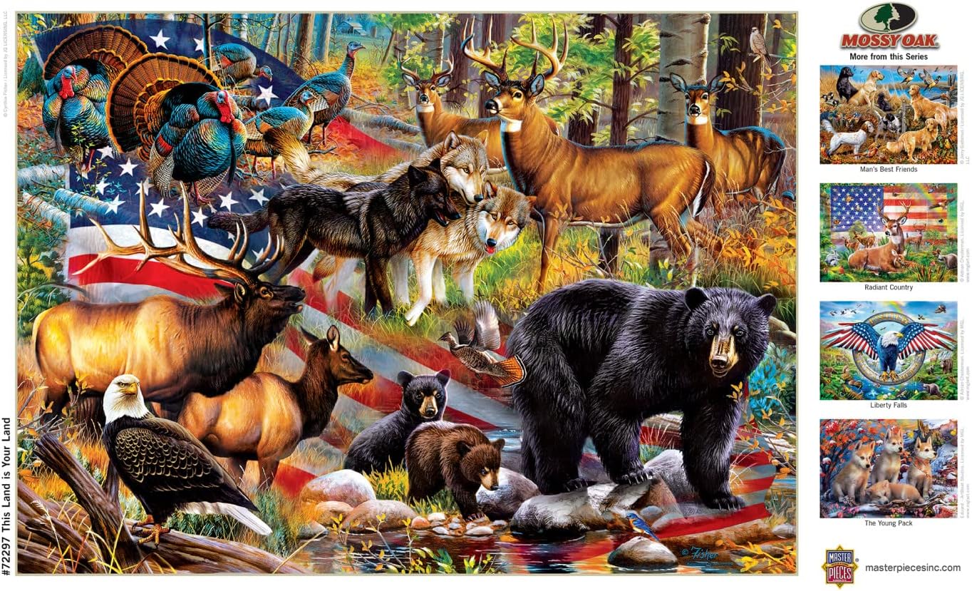 MasterPieces 1000 Piece Jigsaw Puzzle for Adults, Family, Or Youth - This Land is Your Land - 19.25"x26.75"